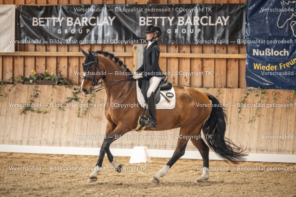 _D5A9017 | Emotionale Pferde- & People-Fotografie rund um Heidelberg, Leimen & Umgebung. Natürliche Fotos von Pferd, Mensch & Familie. Jetzt Termin sichern!