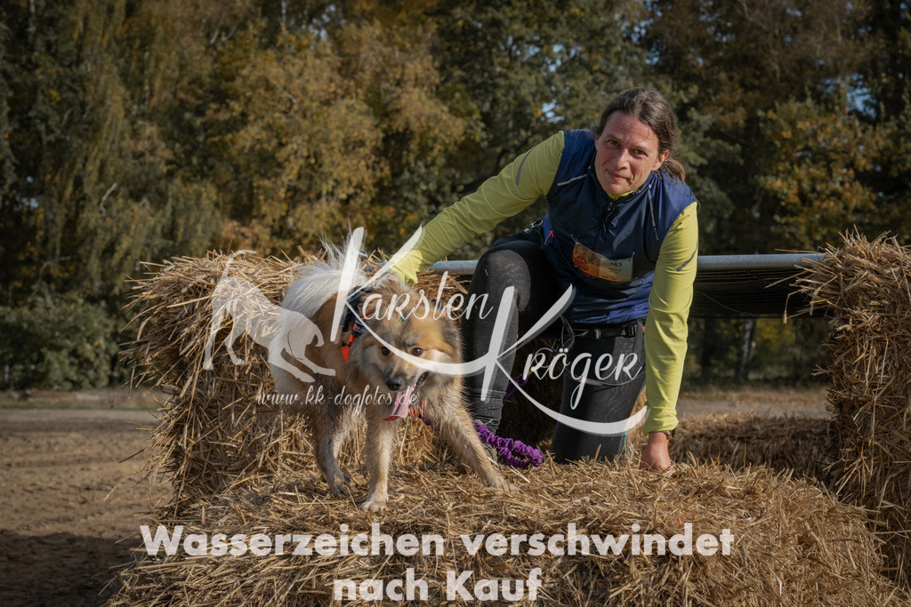 1044_ZZ99185 | kk-dogfotos