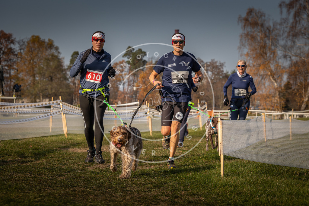 CaniXpix_0L8A0152 | Hundefotografie, Tierfotograf, Pfotenfotografie, Fotoshooting Hund, Hunde Portrait, Hundesport, Hundeportraits, Heideshooting, Hunde, Sportfotograf, Hundefotograf, Turnierhundsport, THS,  - Realisiert mit Pictrs.com
