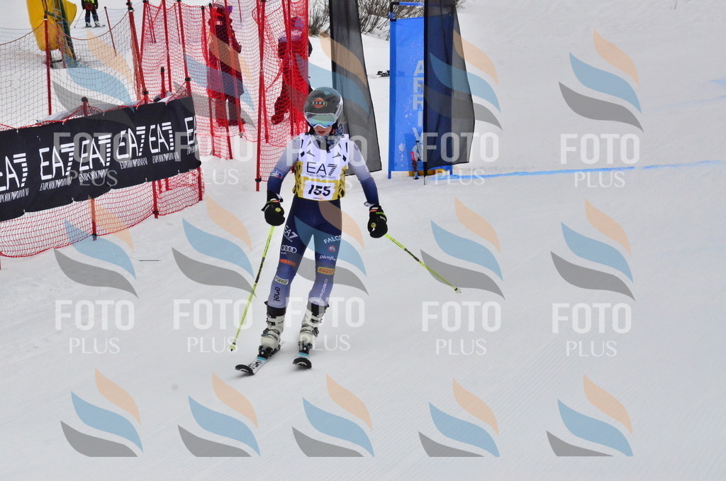 _ELE3834 | holidayphoto