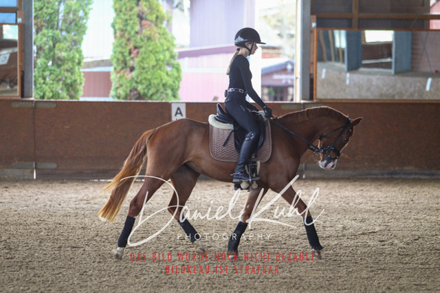 DKP42581 | Turniersportfotografie; Pferdefotografie; Dressurfotografie