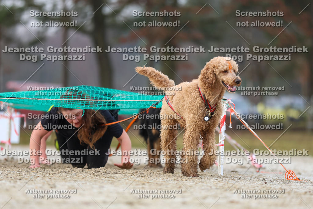 Dog Paparazzi - Strongdog North Mrz26-3728 | Dog Paparazzi Jeanette Grottendiek Fotografie & Videografie - Realisiert mit Pictrs.com