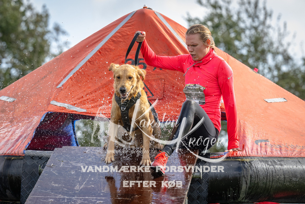 1215-92989 | kk-dogfotos