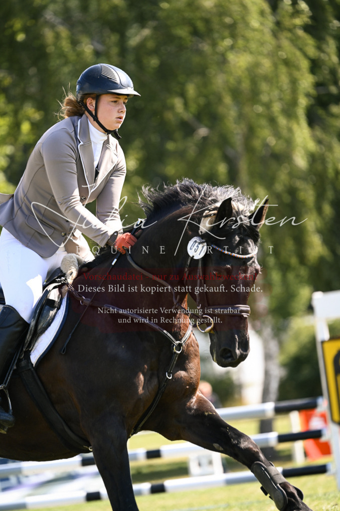 DSC_8801 | Pferde- und Turnierfotografie in Westsachsen. Pferdeportraits, Auftragszeichnungen und intuitive Kunst.