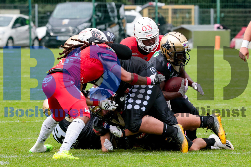 GFL: Paderborn Dolphins vs. New Yorker Lions{date} -  | {headline}(Foto: Sebastian Sendlak / BOND) - Realisiert mit Pictrs.com