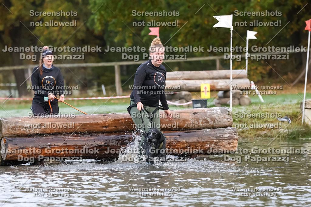 Dog Paparazzi - Strongdog 10-25-6216 | Dog Paparazzi Jeanette Grottendiek Fotografie & Videografie - Realisiert mit Pictrs.com