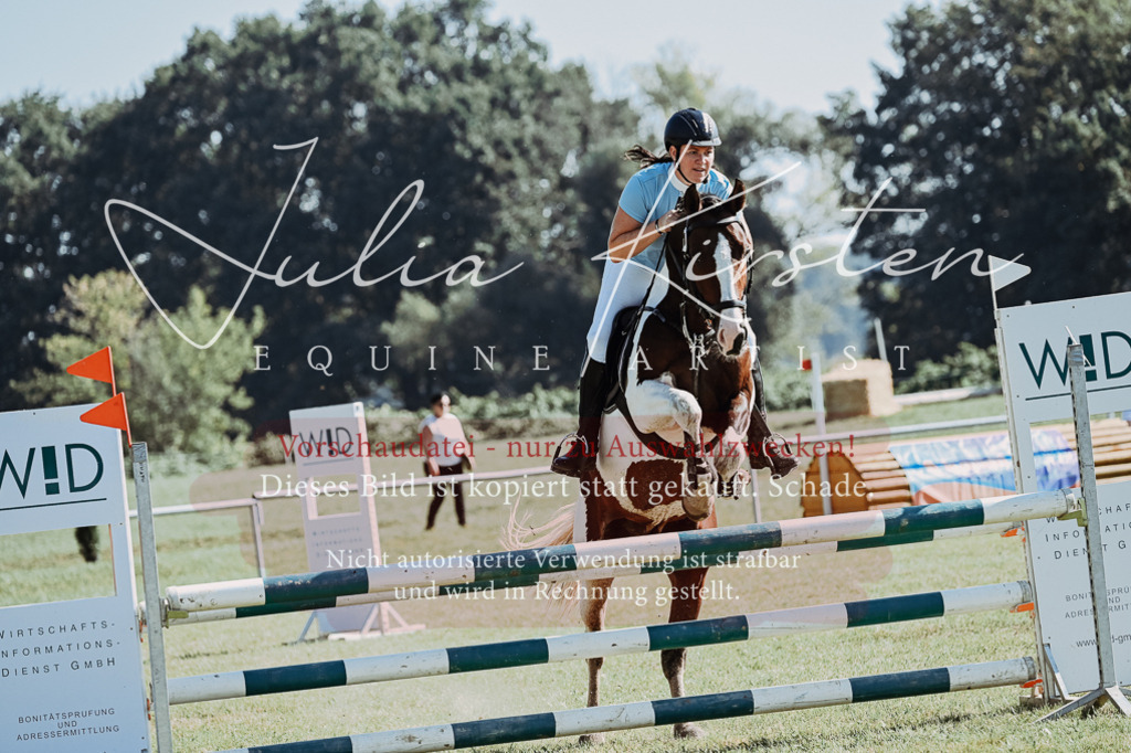 DSC_5463 | Pferde- und Turnierfotografie in Westsachsen. Pferdeportraits, Auftragszeichnungen und intuitive Kunst.