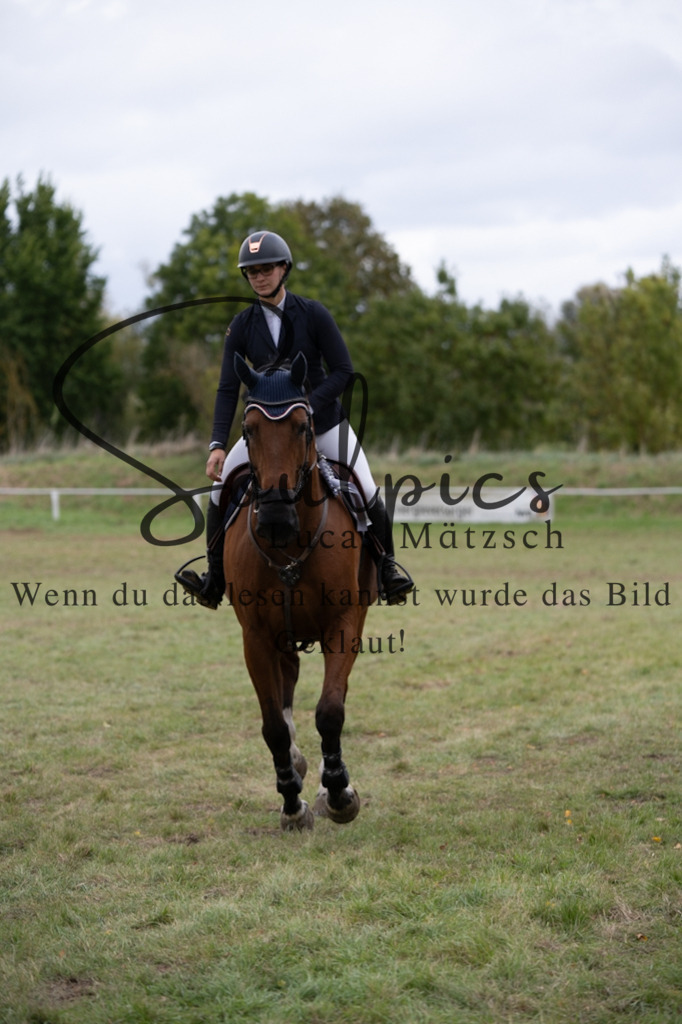 A7V07411 | Turnier/Reitfotograf