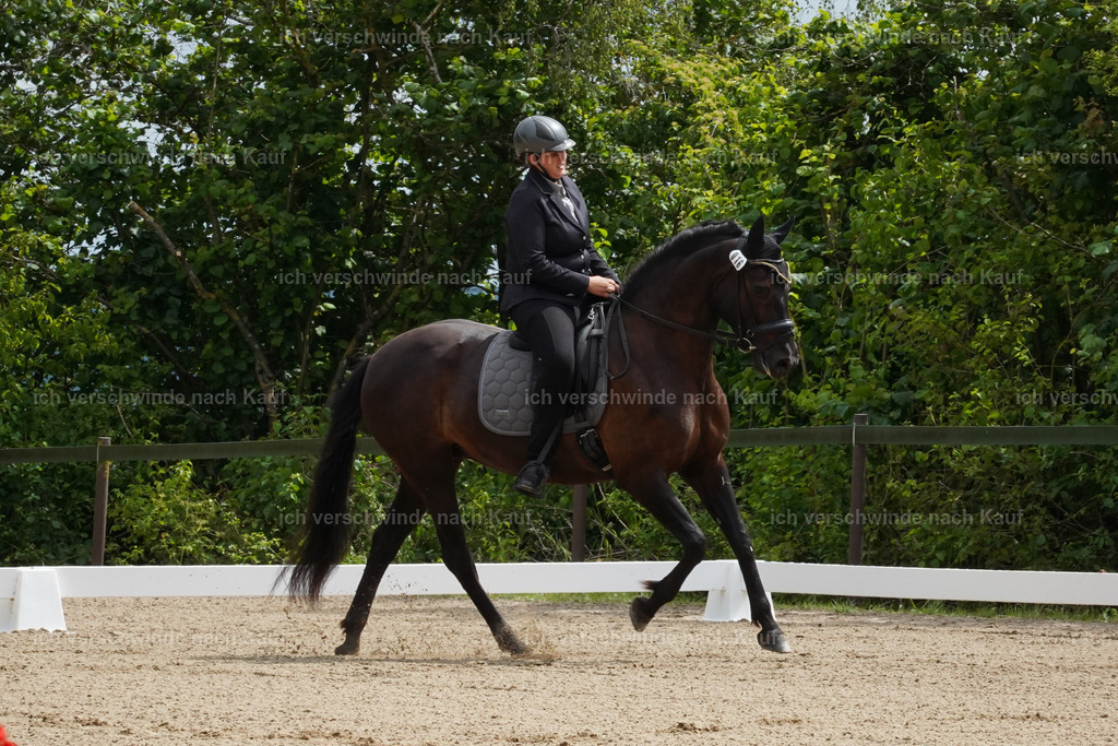 KlasseE_Lucie496 | working equitationturnier fotograf videograf stoibphotography marixx film working equitation deutschland reitsport turnierfotografie eventfotografie equestrian events
