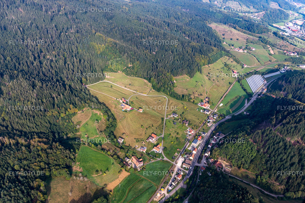 Ibach | Luftbild: Ibach in Oppenau im Bundesland Baden-Württemberg in Deutschland. Foto: IMG_008889.jpg vom 20.09.2020 durch Werner Riehm/FLY-FOTO.de - Realisiert mit Pictrs.com