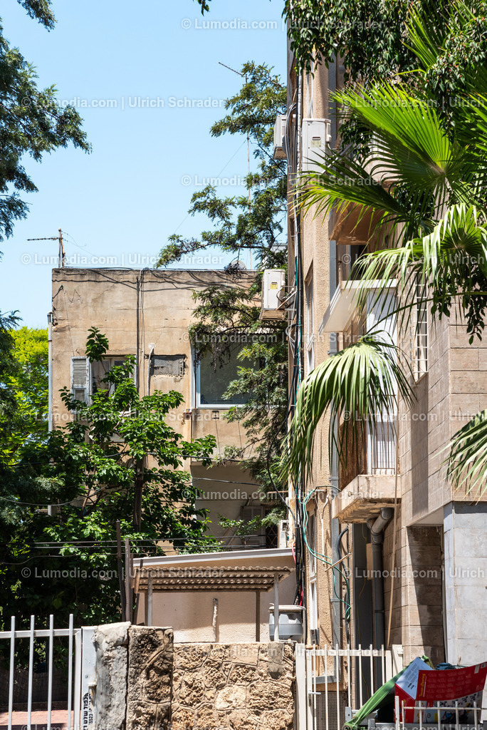 10972-10131 - Tel Aviv - Rothschild Boulevard | Stockfoto und Bilderpool mit Bildmaterial aus Deutschland, dem Harz, Halberstadt, Quedlinburg, Wernigerode und weltweit. Qualitativ hochwertige und professionelle Fotos anschauen und kaufen. - Realisiert mit Pictrs.com