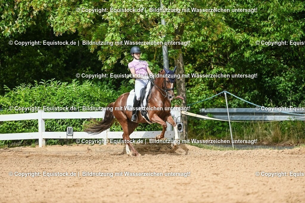 20230716_01_Dressurprüfung Kl.M_0392 | equistock