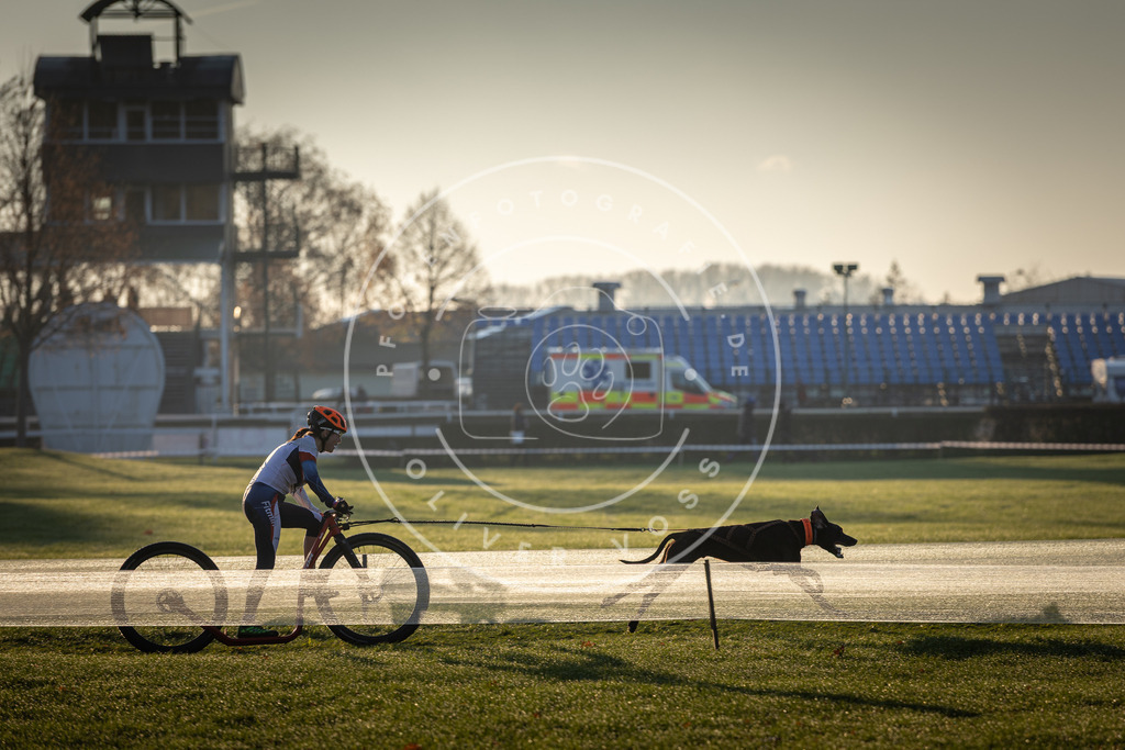 CaniXpix_DV3A9862 | Hundefotografie, Tierfotograf, Pfotenfotografie, Fotoshooting Hund, Hunde Portrait, Hundesport, Hundeportraits, Heideshooting, Hunde, Sportfotograf, Hundefotograf, Turnierhundsport, THS,  - Realisiert mit Pictrs.com