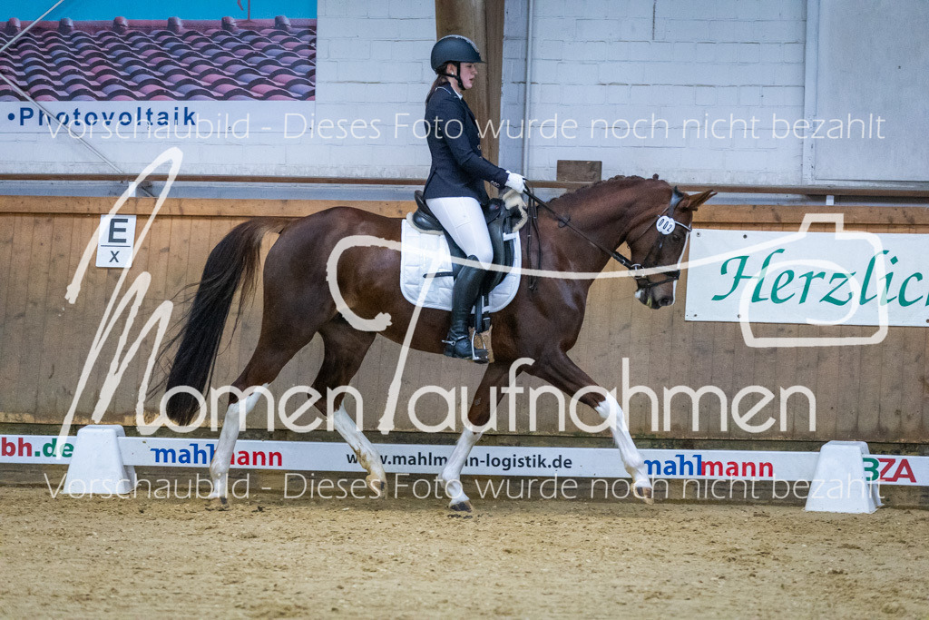 Sth-WBO25-DrR-087 | MomenTaufnahmen Pferdesportfotos