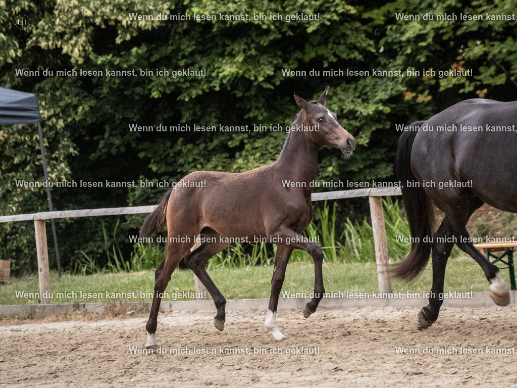 A10I7419 | photographylinaismer - Realisiert mit Pictrs.com
