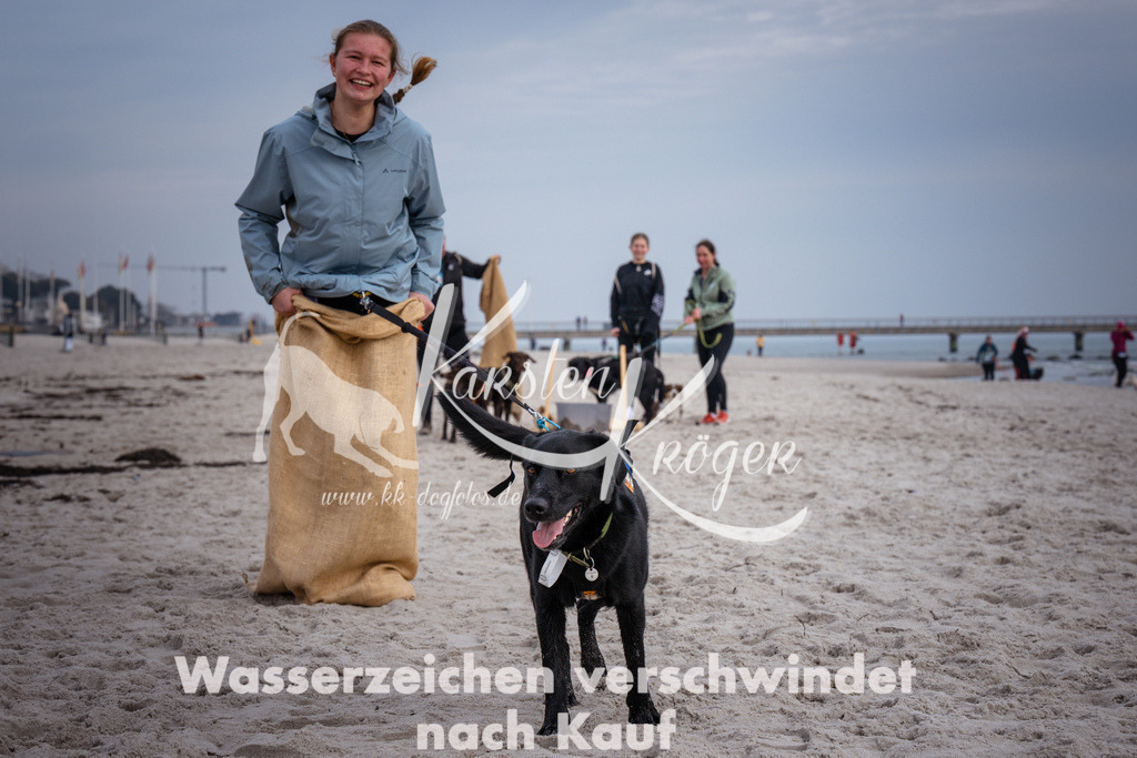 1259_ZZ97541 | kk-dogfotos