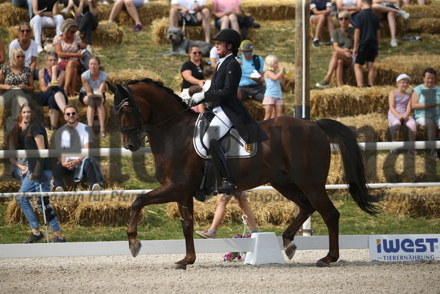 Birkhof_2022_GrandPrixSpecial_Martina Steisslinger_Favory A.S (2) | Alle Fotos der Reiterjournal Fotografin Doris Matthaes im Reiterjournal Online-Fotoshop. - Realisiert mit Pictrs.com