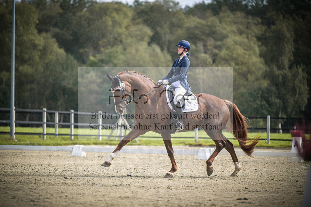 DOS_B634 | Entdecke hochwertige Reitturnierfotos von Foto Oger. Professionell, emotional und authentisch – jetzt Lieblingsmomente im Shop bestellen.Deutschlandweite Turnierfotografie. - Realisiert mit Pictrs.com