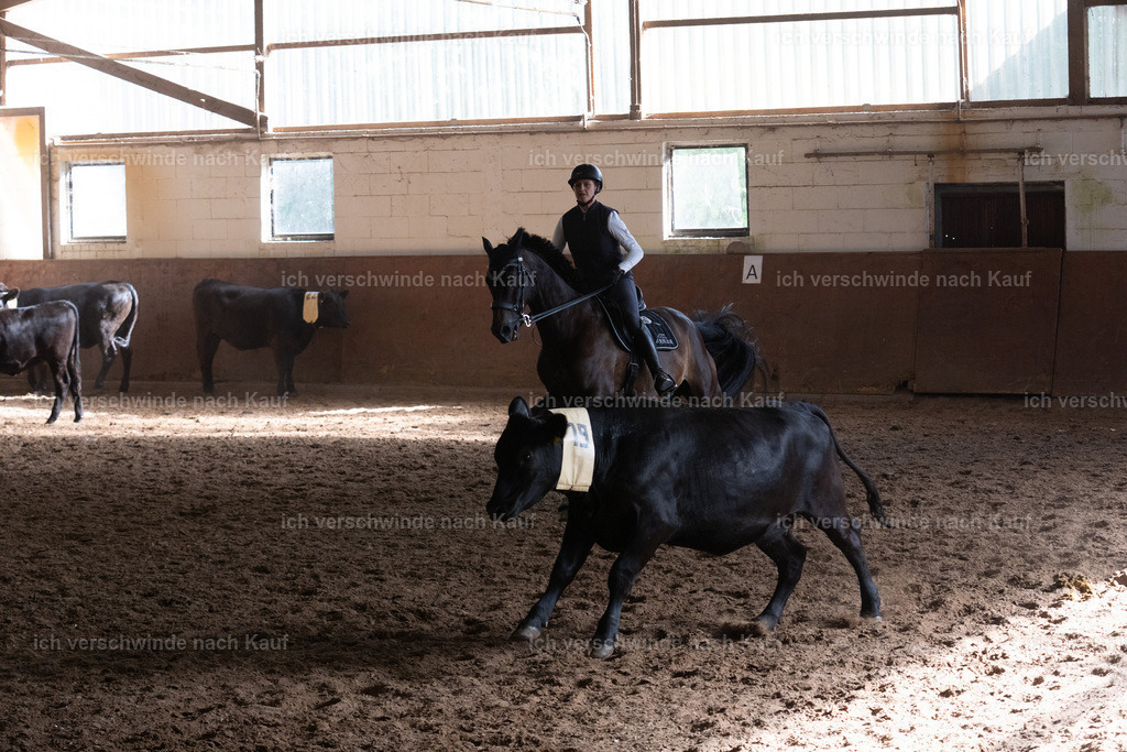 WM_COW_110_SinaFilmArt_IN04888 | working equitationturnier fotograf videograf stoibphotography marixx film working equitation deutschland reitsport turnierfotografie eventfotografie equestrian events