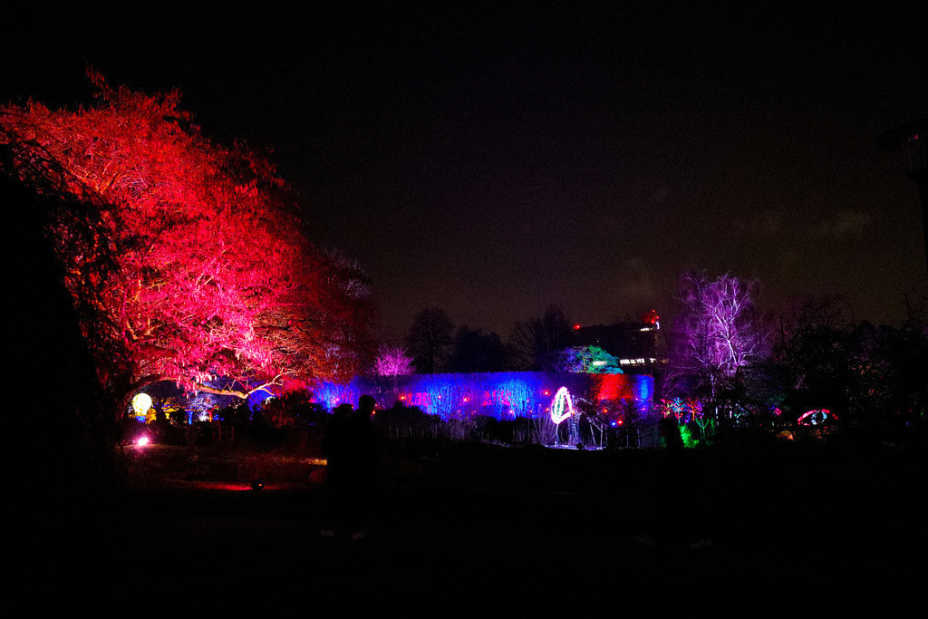 Parkleuchten_GrugaEssen24_37 | Bildergalerie von Sport-Ereignissen aber auch von weiteren spannenden Dingen - nicht nur vom Niederrhein. In Anlehnung an den bekannten Spruch von Hanns Dieter Hüsch heißt das Motto: "Niederrhein ist überall".  - Realisiert mit Pictrs.com