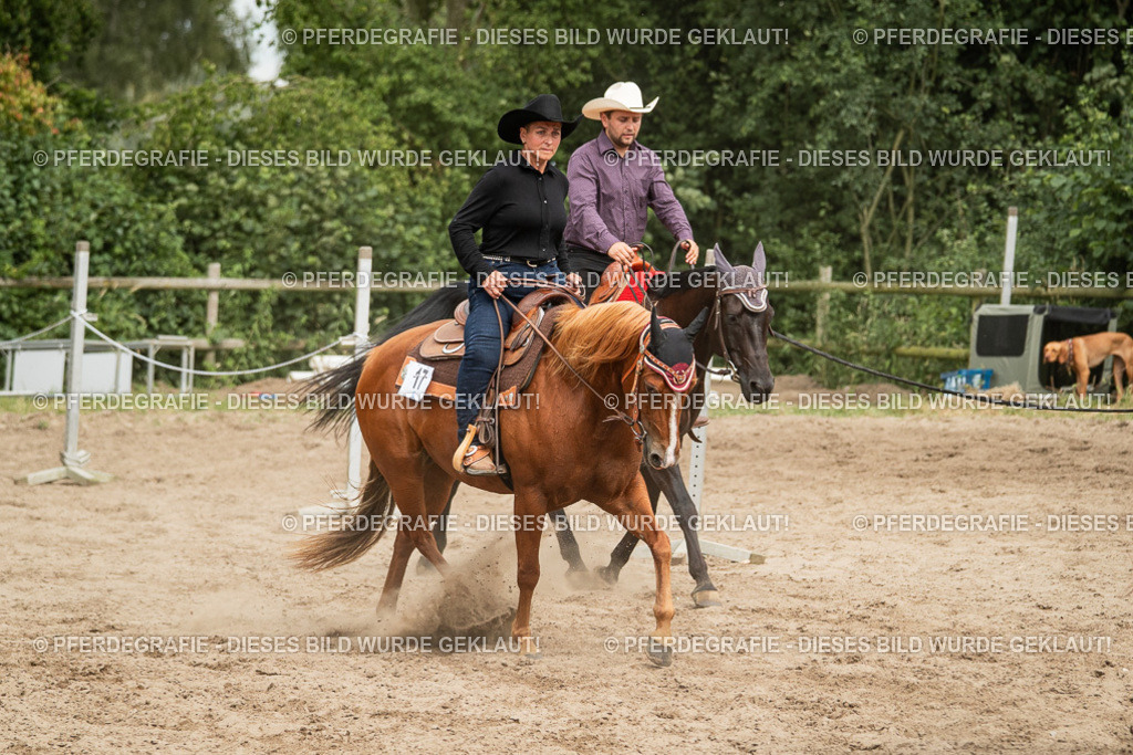 DSC03449 | Pferdegrafie