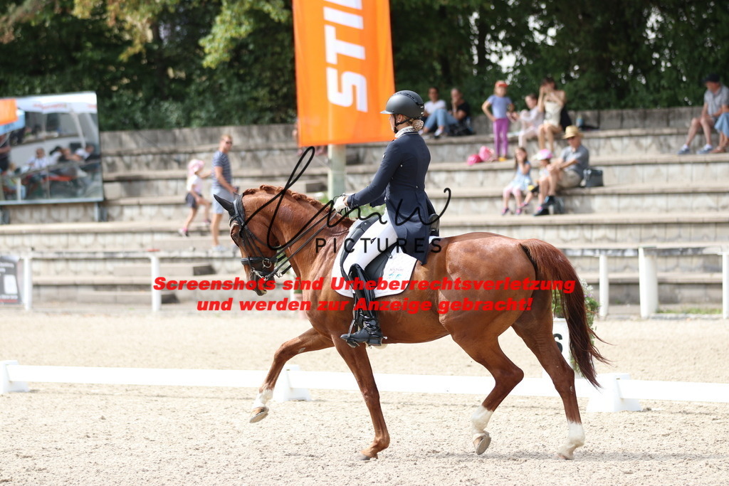 IMG_1434 | lmwpictures - Realisiert mit Pictrs.com