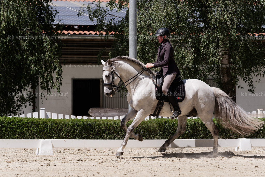 WS_DR_83_sinafilmart_IN08888 | working equitationturnier fotograf videograf stoibphotography marixx film working equitation deutschland reitsport turnierfotografie eventfotografie equestrian events