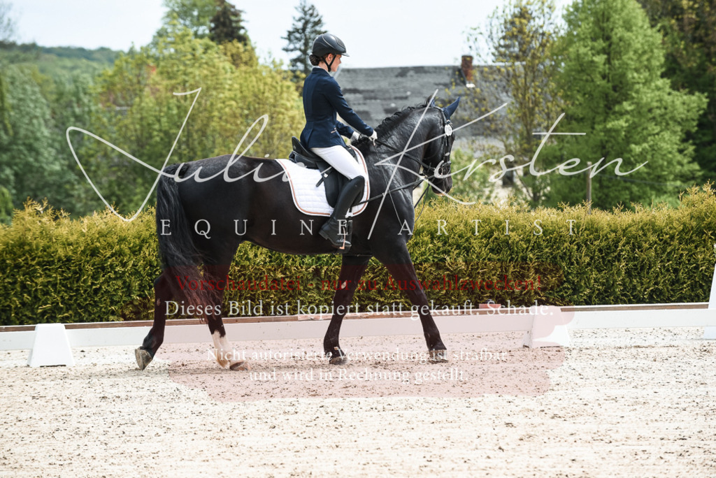 20230518_JK-Röhrsdorf-11-0004 | Pferde- und Turnierfotografie in Westsachsen. Pferdeportraits, Auftragszeichnungen und intuitive Kunst.
