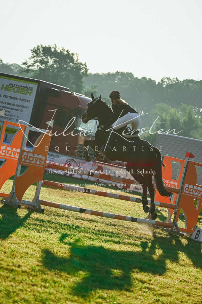 DSC_3873 | Pferde- und Turnierfotografie in Westsachsen. Pferdeportraits, Auftragszeichnungen und intuitive Kunst.