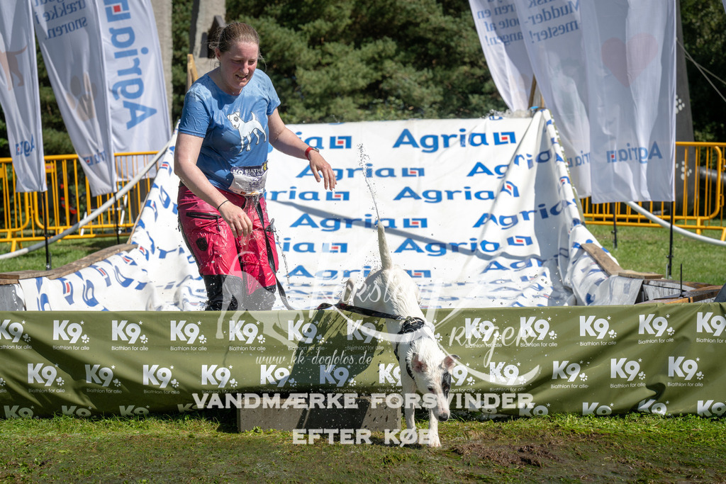 1216_ZZ95808 | kk-dogfotos