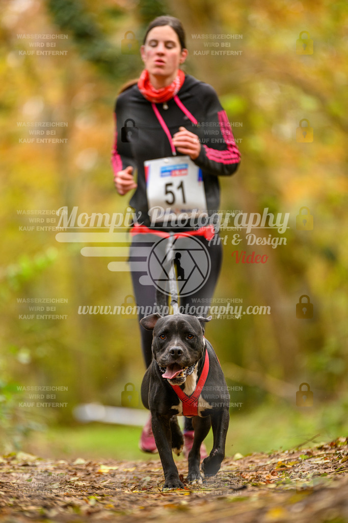 MompixPhotography_Bischwiller24_SA_Canicross-56 | PayLife