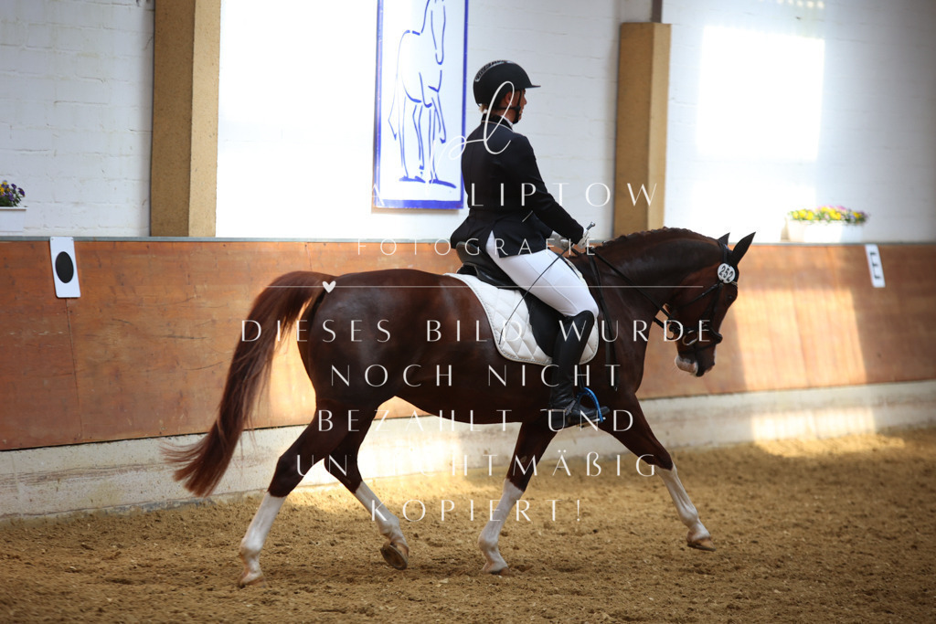 IMGT5211 | pl-fotografie