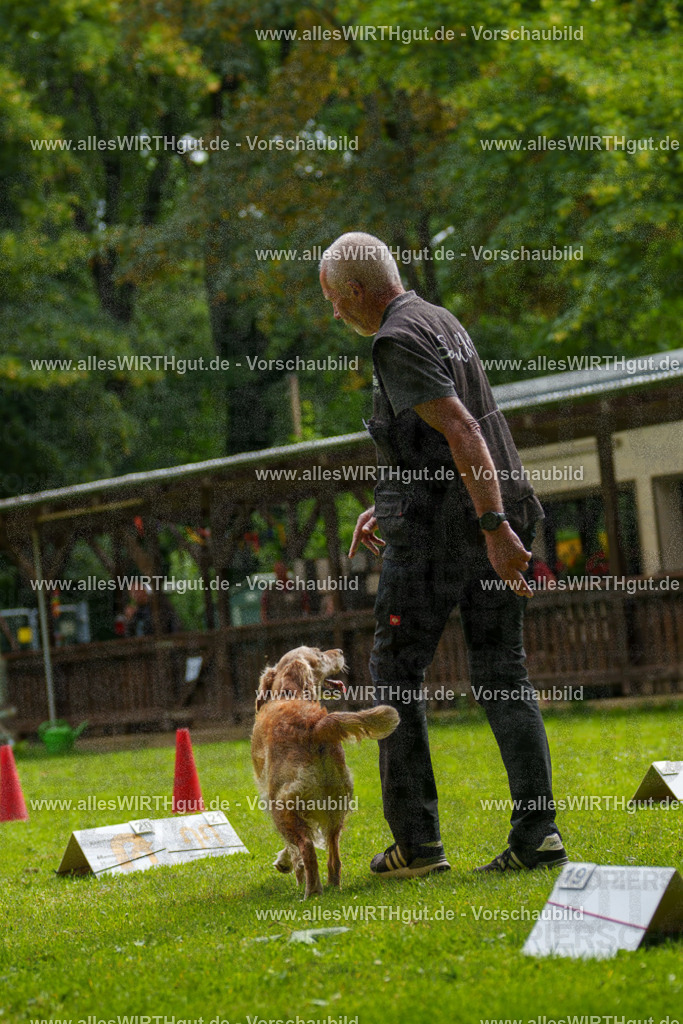 @allesWIRTHgut_Tierfotografie - www.allesWIRTHgut.de - 093405-7R507342 | Professionelle Tierfotografie in Mönchengladbach von Daniel Wirth (allesWIRTHgut). Liebevolle & natürliche Bilder von Hunden & Katzen für unvergessliche Erinnerungen.