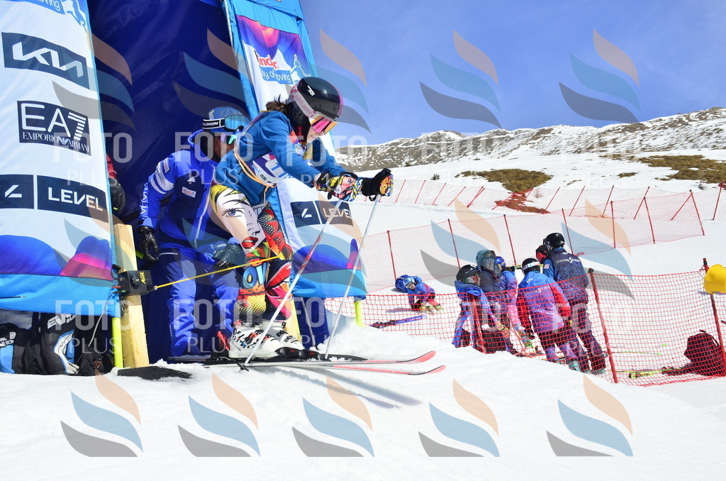 _ELE0712 | holidayphoto