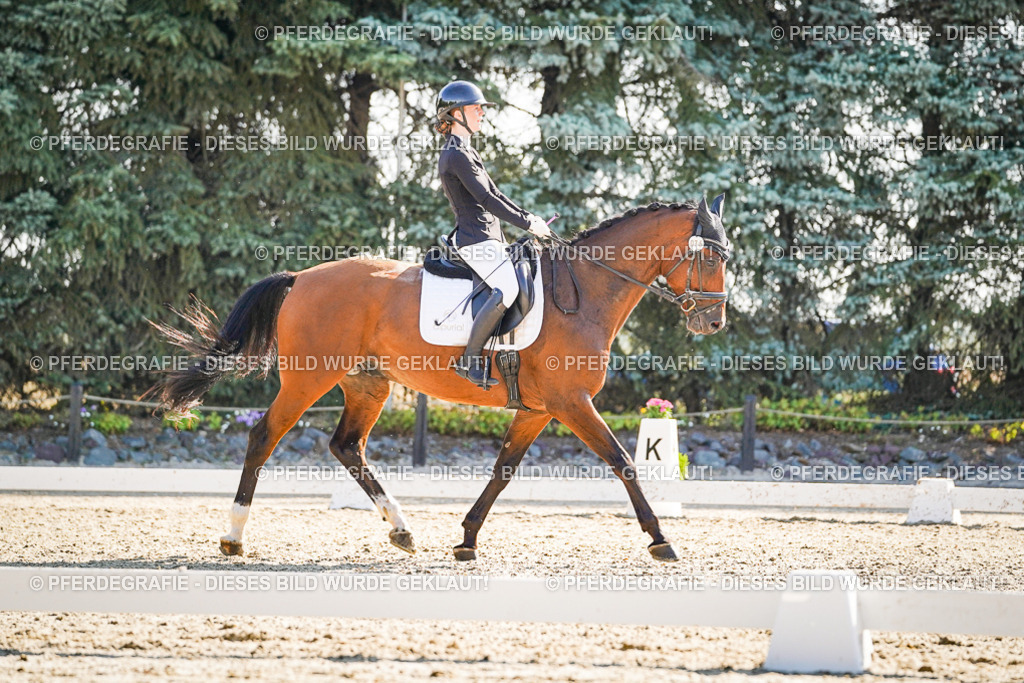 DSC09888 | Pferdegrafie