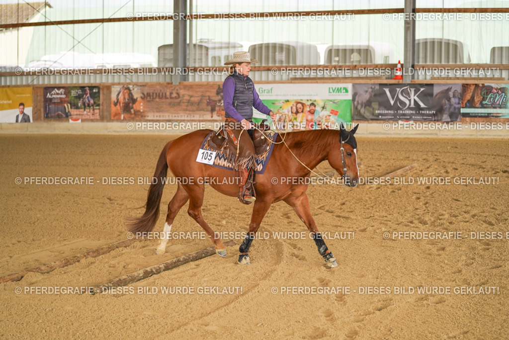 DSC01246 | Pferdegrafie