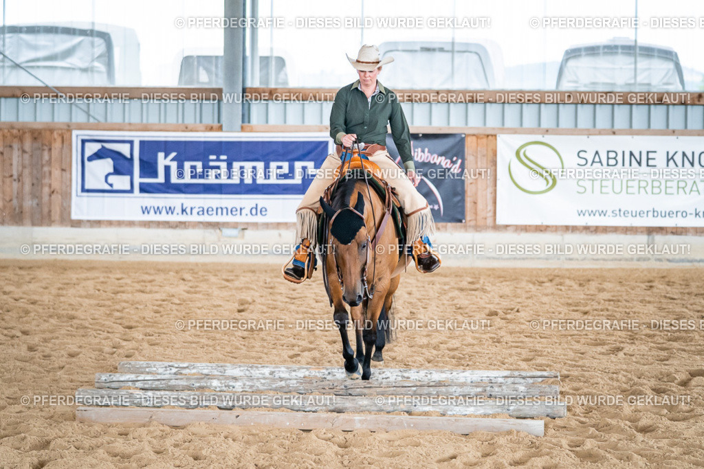 DSC03619 | Pferdegrafie