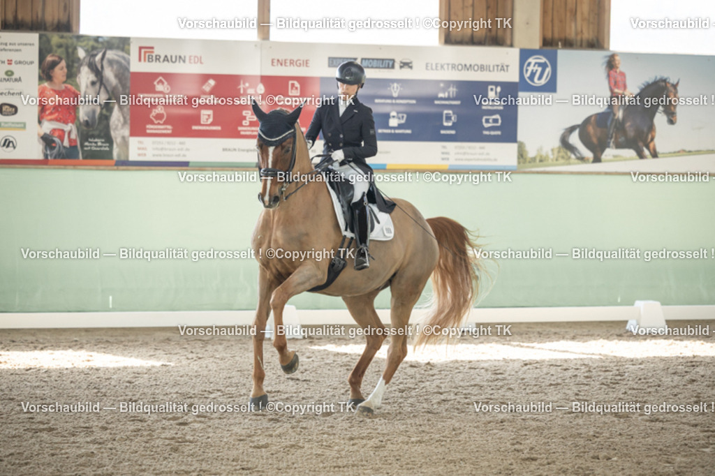 _D5A1371 | Emotionale Pferde- & People-Fotografie rund um Heidelberg, Leimen & Umgebung. Natürliche Fotos von Pferd, Mensch & Familie. Jetzt Termin sichern!