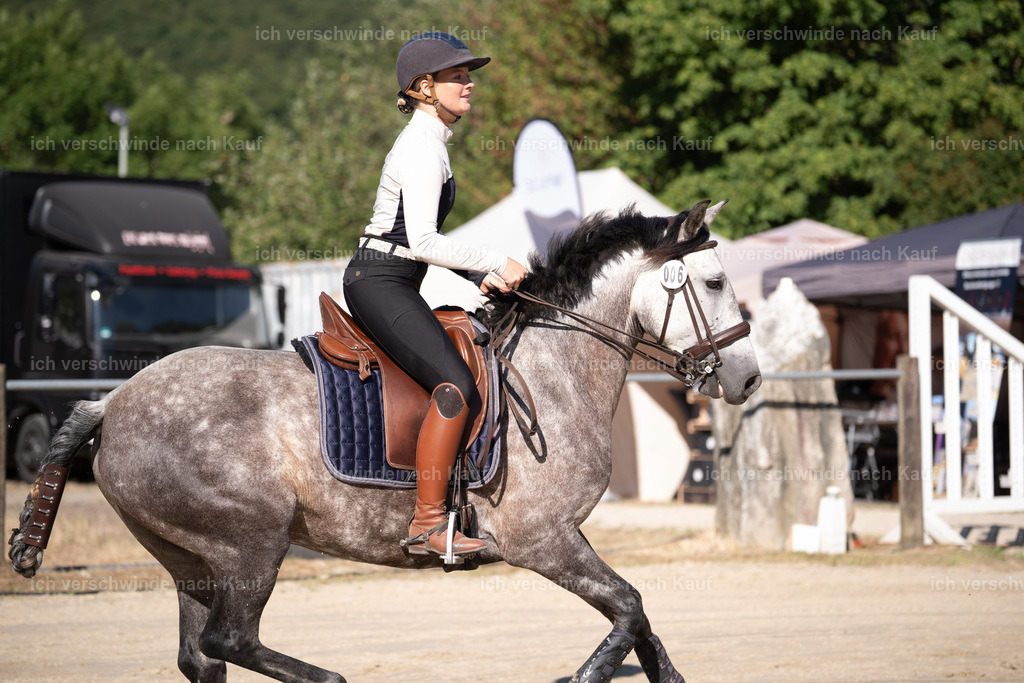 WL_SP_6_Stoibphotography_SO14473 | working equitationturnier fotograf videograf stoibphotography marixx film working equitation deutschland reitsport turnierfotografie eventfotografie equestrian events