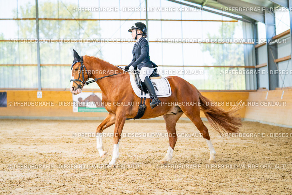 DSC06823 | Pferdegrafie