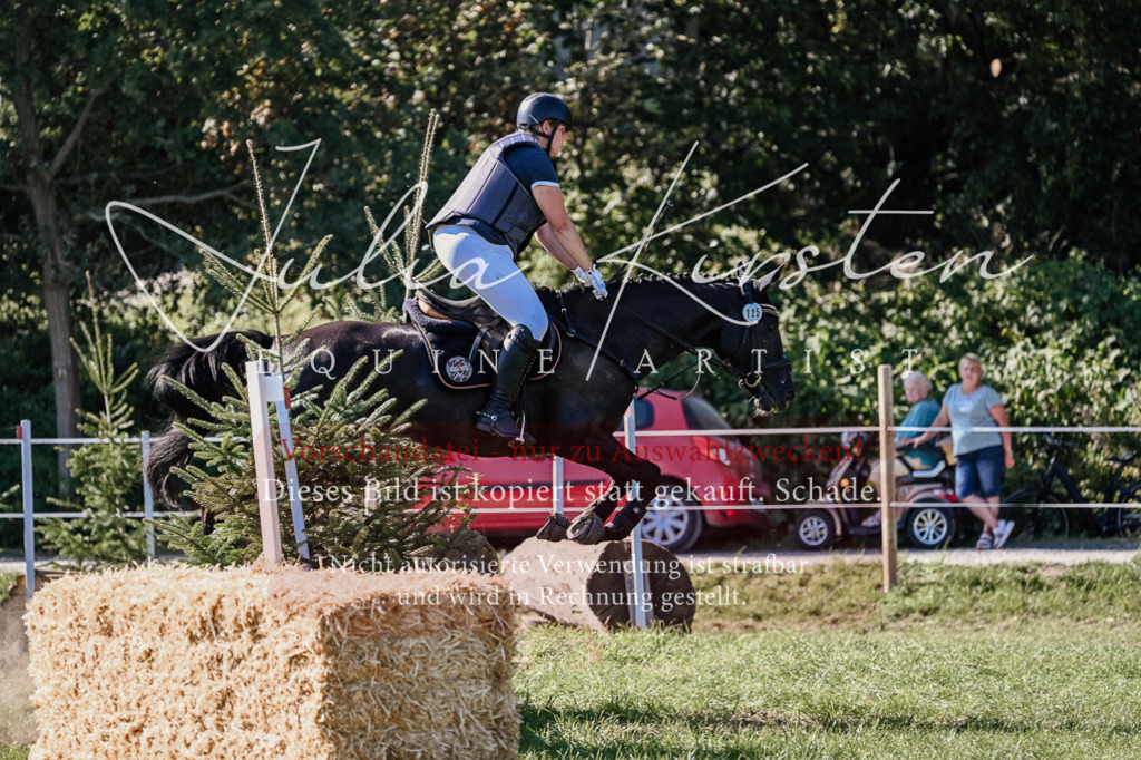 DSC_3326 | Pferde- und Turnierfotografie in Westsachsen. Pferdeportraits, Auftragszeichnungen und intuitive Kunst.
