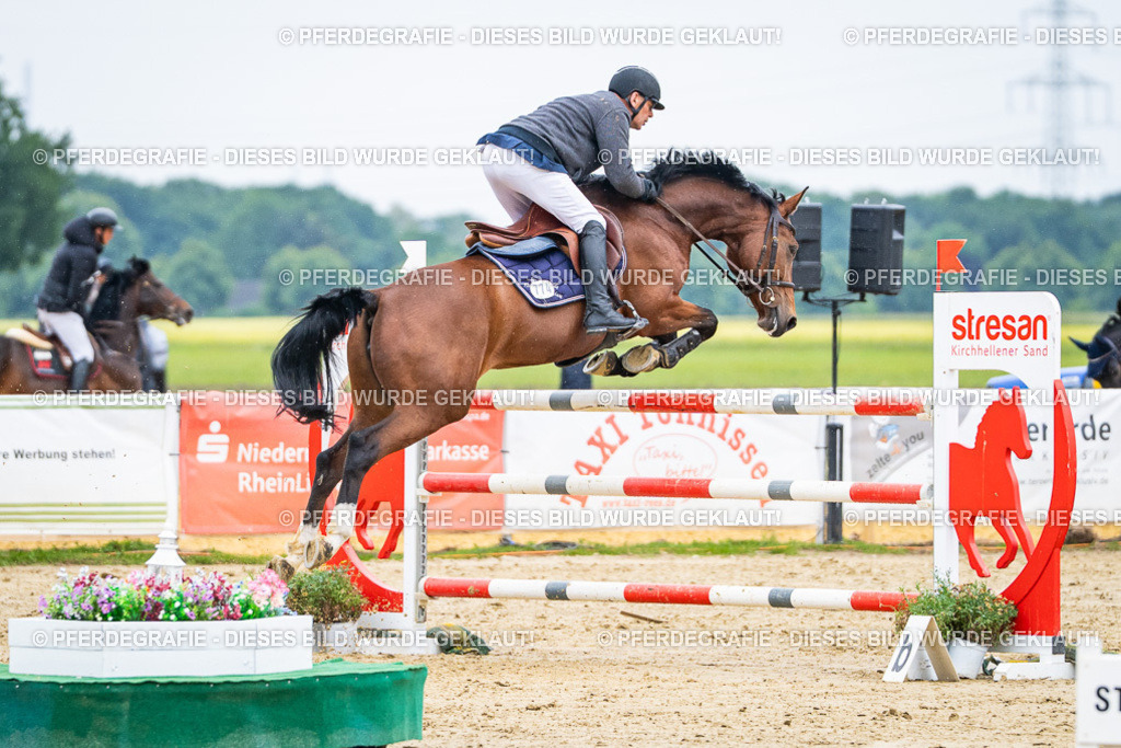 DSC09370 | Pferdegrafie