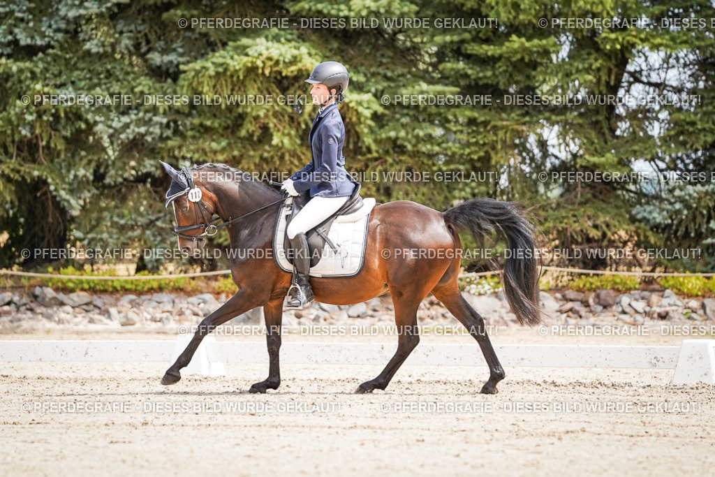 DSC02525 | Pferdegrafie