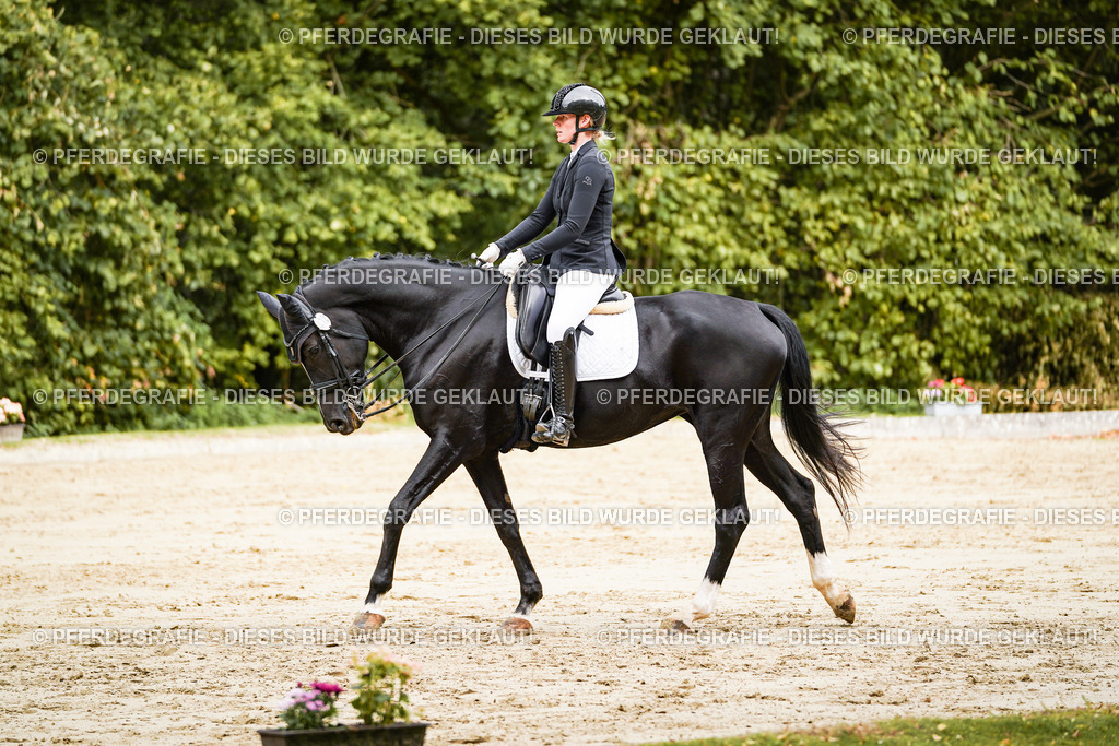 DSC03455 | Pferdegrafie