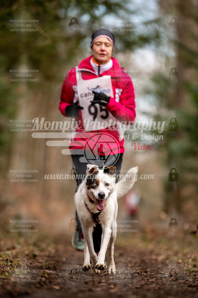 Reiat2023_SAM_CaniXRun_8km_W-15 | PayLife