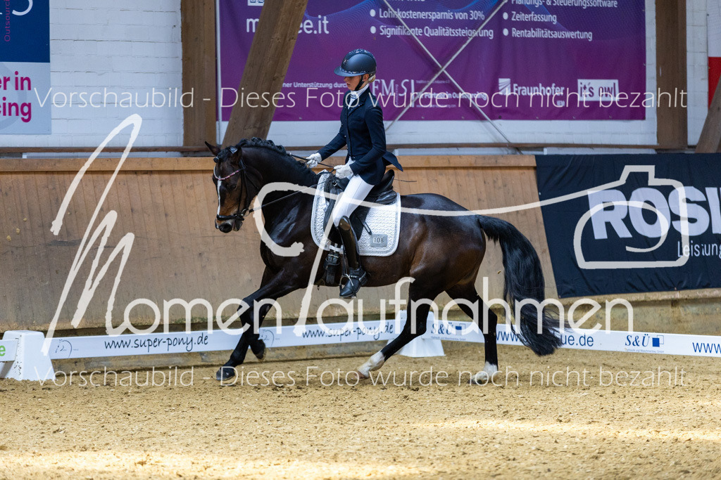 Sth-LPO25-DrR-L-294 | MomenTaufnahmen Pferdesportfotos