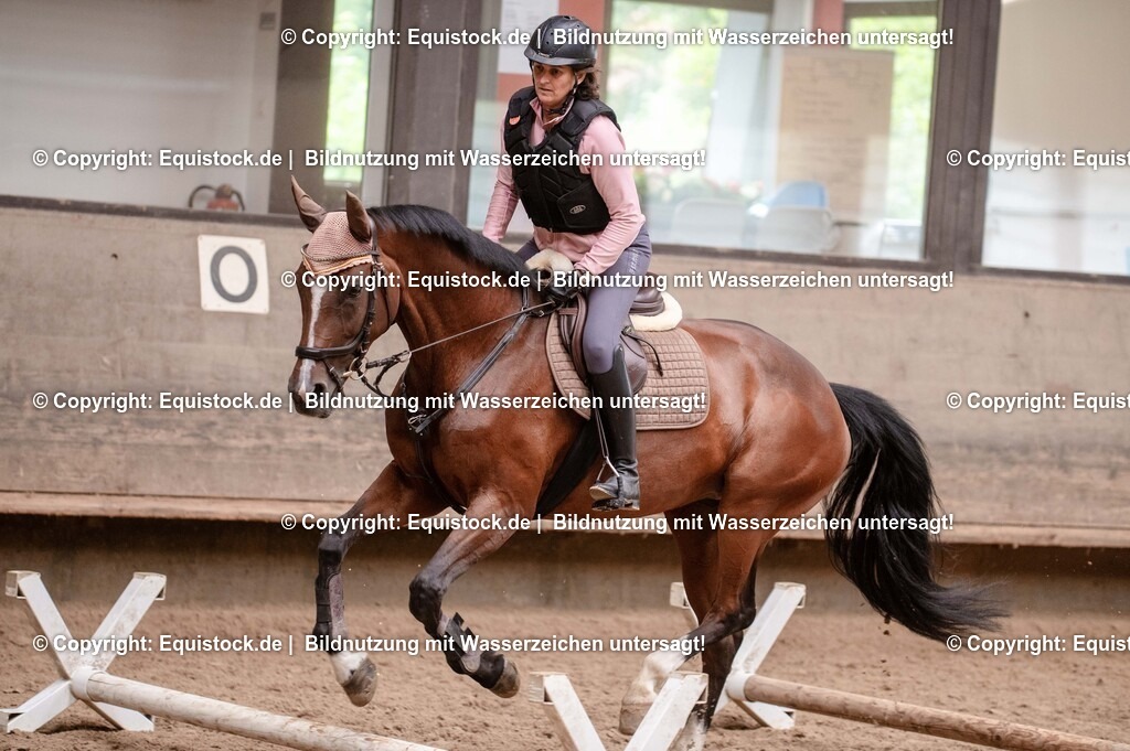20250725_Vielseitigkeitslehrgang-Marbach_0210 | Foto: Thomas Hartig