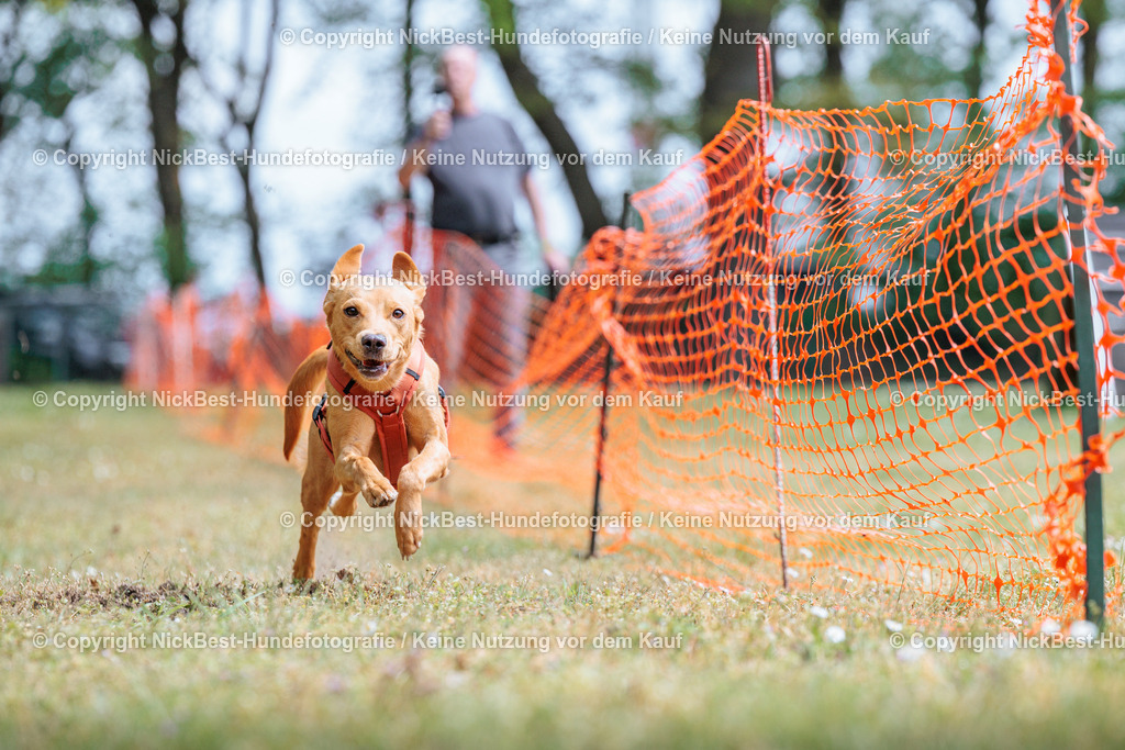Sage Hunderennen Frühlingsfest-2026-Nickbest-Hundefotografie-0406 | Dein Hund! Dein Moment! Deine Erinnerungen! Hundefotografie in Bremen Blumenthal. Ich fange die besonderen Momente deines Vierbeiners ein – ob Indoor mit Blitzanlage oder in der freien Natur. Sicher dir dein Moment und dein Termin für eure Erinnerungen.