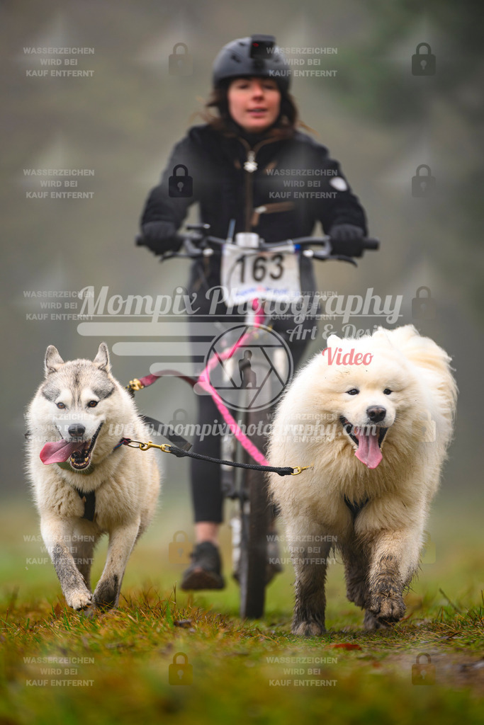 MompixPhotography_Bischwiller2025_Scooter-16 | mompixphotography