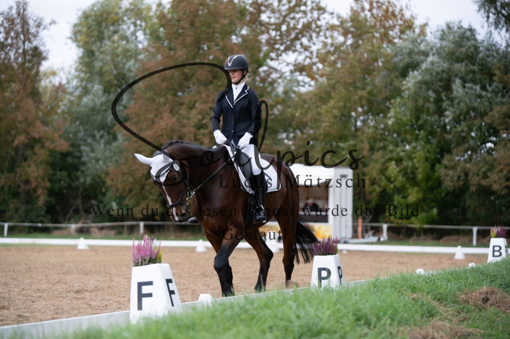 A7V05321 | Pferdefotograf